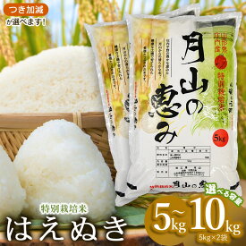 【ふるさと納税】令和8年産 新米 特別栽培米 はえぬき 【選べる容量：5kg (5kg×1袋)／10kg (5kg×2袋)】 2026年 米工房 月山「月山の恵み」 | 山形県 鶴岡市 返礼品 無洗米 白米 ブランド米 お米 おこめ 特別栽培 コメ 5分 7分つき 10キロ こめ 精米 美味しい 単一原料米