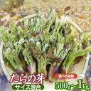 【ふるさと納税】 【令和8年産先行予約】山形県鶴岡市産 たらの...