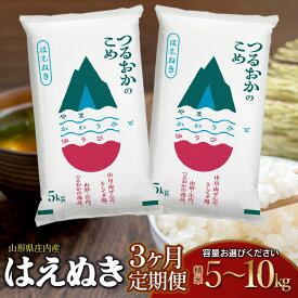 【ふるさと納税】【3ヶ月定期便】令和7年産 はえぬき 精米　容量お選びください［5kg または 10kg］×3回 山形県 庄内産 | 鶴岡市 楽天ふるさと 納税 返礼品 白米 精米 美味しい お米 おいしい おこめ コメ ブランド米 キロ 名産品 特産品