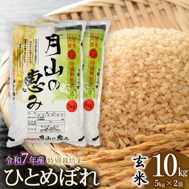 【ふるさと納税】【令和7年産先行予約】特別栽培米 ひとめぼれ【玄米】10kg（5kg×2袋） 2025年産 | 山形県 鶴岡市 ブランド米 お取り寄せ ご当地 お米 おこめ 特栽 コメ 単一米 10キロ