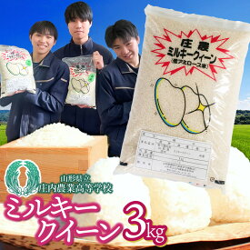 【令和7年産】 山形県立庄内農業高等学校の生徒が栽培したミルキークイーン 精米3kg　山形県鶴岡市