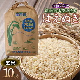 【ふるさと納税】令和7年産【新米】斎藤農場の特別栽培米 はえぬき玄米 10kg（10kg×1） [K-7114]