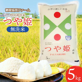 【ふるさと納税】【令和6年産 先行予約】特別栽培米 つや姫【無洗米】5kg 山形県鶴岡市産