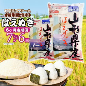 【ふるさと納税】【令和6年産 先行予約】【定期便】特別栽培米 はえぬき 精米7kg（5kg＋2kg）×6ヶ月 合計42kg 山形県鶴岡市産