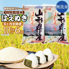 【ふるさと納税】【令和6年産 先行予約】【定期便】特別栽培米 はえぬき 無洗米 10kg（5kg×2袋）×6ヶ月 合計60kg 山形県鶴岡市産