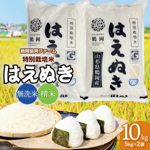 yӂ邳Ɣ[Łzߘa7NYyVāz߉t@[̓ʍ͔| ͂ʂ 10kg(5kg×2)@Iׂ鐸Ďށm  ān R`߉sY