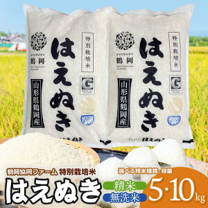 yӂ邳Ɣ[Łzߘa7NYyVāz߉t@[̓ʍ͔| ͂ʂ @Iׂ鐸Ďށm  ānƗeʁm5kgE10kg(5kg×2)n R`߉sY