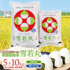 yӂ邳Ɣ[Łzߘa7NYyVāz߉t@[̓ʍ͔|  yIׂeʁEĎށz5E10kg@  ā@R`߉sY