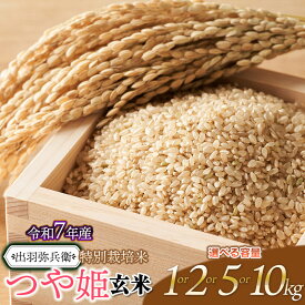 【ふるさと納税】令和7年産【新米】特別栽培米つや姫 【玄米】　容量選べます［1kg・2kg・5kg・10kg］　山形県鶴岡市産　出羽弥兵衛