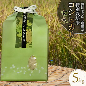 【ふるさと納税】令和7年産【新米】黒川まるいし農場の特別栽培米 コシヒカリ【玄米】　5kg　K-740