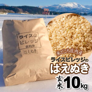 yӂ邳Ɣ[Łzߘa7NYyVāz Ăǂ돯Y CXrbŴ͂ʂ  10kg K-7114 | R` ߉s yVӂ邳 [ ԗi