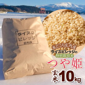 【ふるさと納税】令和7年産【新米】 米どころ庄内産 ライスビレッジの特別栽培米 つや姫 玄米 10kg K-7117 | 山形県 鶴岡市 楽天ふるさと 納税 返礼品