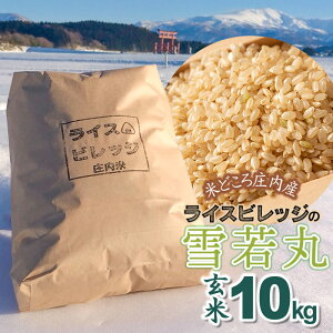 yӂ邳Ɣ[Łzߘa7NYyVāz Ăǂ돯Y CXrbW̐  10kg K-7117 | R` ߉s yVӂ邳 [ ԗi