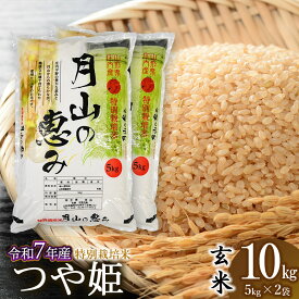 【ふるさと納税】【令和7年産先行予約】特別栽培米 つや姫 玄米 10kg（5kg×2袋）2025年 山形県鶴岡市産　米工房月山 | 山形県 鶴岡市 返礼品10キロ おこめ お米 つやひめ お取り寄せ ご当地 コメ 単一米
