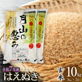 【ふるさと納税】 【令和7年産先行予約】 特別栽培米 はえぬき 玄米 10kg（5kg×2袋 計10kg） 2025年 | 山形県 鶴岡市 ブランド米 お取り寄せ お米 おこめ 特栽 コメ10キロ こめ 美味しい 鶴岡産 単一原料米