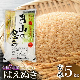 【ふるさと納税】令和7年産【新米】特別栽培米 はえぬき 玄米 5kg（5kg×1袋） 2025年 | 山形県 鶴岡市 ブランド米 お取り寄せ お米 おこめ 特栽 コメ5キロ こめ 美味しい 鶴岡産 単一原料米