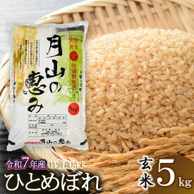 【ふるさと納税】【令和7年産先行予約】特別栽培米 ひとめぼれ【玄米】5kg（5kg×1袋） 2025年産 | 山形県 鶴岡市 ブランド米 お取り寄せ ご当地 お米 おこめ 特栽 コメ 単一米 5キロ