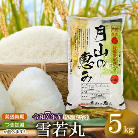 【ふるさと納税】【令和7年産先行予約】 特別栽培米 雪若丸 5kg (5kg×1袋)　2025年産 山形県鶴岡市産　つき加減(5分・7分・白米・乾式無洗米）選べます