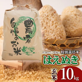 【ふるさと納税】【令和7年産先行予約】庄内おばこ農場の特別栽培米 はえぬき【玄米】10kg（10kg×1袋） K-775