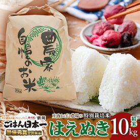 【ふるさと納税】令和7年産【新米】庄内おばこ農場の特別栽培米 はえぬき【精米】10kg（10kg×1袋） K-796
