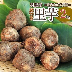 yӂ邳Ɣ[Łzyߘa7NYs\zHY@ 2kg@K-726@΂_@Ƃ