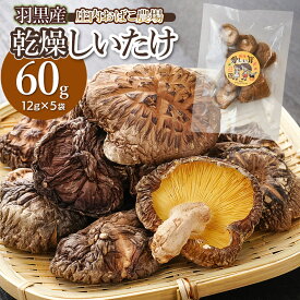【ふるさと納税】羽黒産　乾燥シイタケ　60g（12g×5）　K-710　庄内おばこ農場　干し椎茸