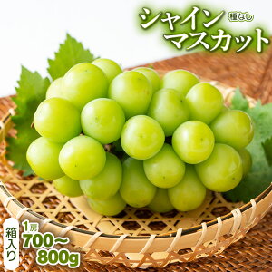 yӂ邳Ɣ[Łzyߘa7NY s\zVC}XJbgi햳Ԃǂj @1[i700g`800gj | R` ߉s R` ߉ yVӂ邳 [ t[c ʕ   M