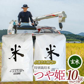 【ふるさと納税】【令和7年産先行予約】小池半左衛門のお米 特別栽培米 つや姫 玄米【選べる容量 5kg・10kg】　山形県鶴岡市産