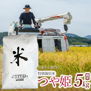 yӂ邳Ɣ[Łzyߘa7NYs\zrq̂ ʍ͔| P yIׂ eʁEĎށz5kgE10kg@()Eā@R`߉sY