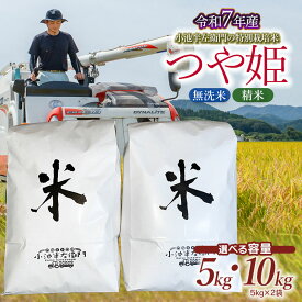 【ふるさと納税】【令和7年産先行予約】小池半左衛門のお米 特別栽培米 つや姫 【選べる 容量・精米種類】5kg・10kg　精米(白米)・無洗米　山形県鶴岡市産