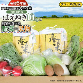 【ふるさと納税】【令和6年産 先行予約】 特別栽培米 はえぬき（タニシ米）10kg（5kg×2袋）と農家の食べる野菜・果物　山形県鶴岡産　アベ・アグリ米