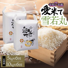 【ふるさと納税】令和7年産【新米】 雪若丸 精米　6ヶ月定期便　お選びください［5kg×6回・10kg(5kg×2袋) ×6回］　愛米て