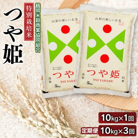 【ふるさと納税】【令和7年産】【新米】特別栽培米 つや姫 精米 10kg(5kg×2袋)［1回発送 or 3ヶ月定期便］　山形県庄内産　鶴岡米穀商業協同組合