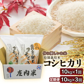 【ふるさと納税】【令和7年産】【新米】体に優しいお米　特別栽培米 コシヒカリ 精米 10kg（5kg×2袋）［1回発送・3ヶ月定期便］定期便　山形県庄内産　鶴岡米穀商業協同組合