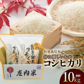 【ふるさと納税】【令和7年産】体に優しいお米・こしひかり（特別栽培米） 精米 10kg (5kg×2)　山形県庄内産　鶴岡米穀商業協同組合 | 2025年産 コシヒカリ 白米 東北 山形 鶴岡 国産 ブランド米 米どころ 庄内米 粘り もっちり 食感 甘い おにぎり 人気 お弁当 おすすめ