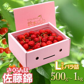 【ふるさと納税】【令和8年産先行予約】さくらんぼ 佐藤錦 バラ詰めLサイズ 選べる容量［500g〜1kg］ 鈴木さくらんぼ園 | 山形県 鶴岡市 楽天 返礼品 フルーツ 果物 くだもの 取り寄せ サクランボ 特産品