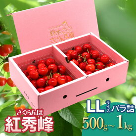 【ふるさと納税】【令和8年産先行予約】さくらんぼ 紅秀峰 バラ詰めLLサイズ 選べる容量［500g〜1kg］ 鈴木さくらんぼ園 | 山形県 鶴岡市 楽天 返礼品 フルーツ 果物 くだもの 取り寄せ グルメ サクランボ 2L お土産