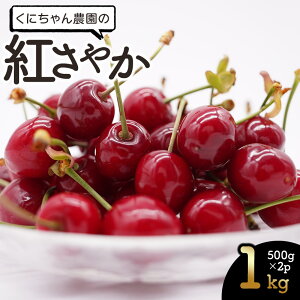 yӂ邳Ɣ[Łzyߘa8NYs\z  g₩ ol 1kgi500g×2pbNj K-856
