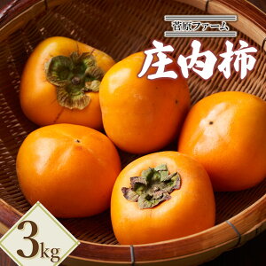 yӂ邳Ɣ[Łzyߘa7NYs\z`@3kg@t@[
