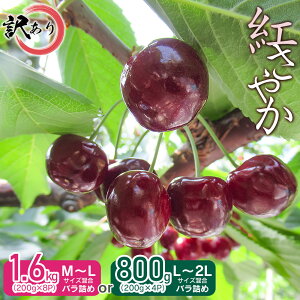 yӂ邳Ɣ[Łzyߘa8NYs\zm󂠂n g₩ TCYEol meʂIтE800g(200g×4P)E1.6kg(200g×8P)n R` ߉sY V_ 󕲎 | ԗi
