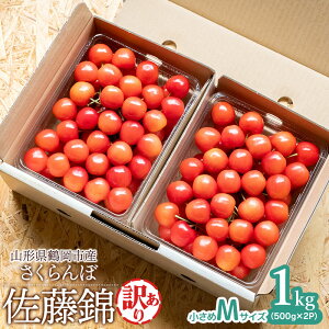 yӂ邳Ɣ[Łzm󂠂n  MTCYEol 1kg(500g×2P)@R`߉sY@V_