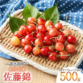 【ふるさと納税】【令和8年産先行予約】さくらんぼ 佐藤錦 Lサイズ以上 バラ詰め500g　山形県鶴岡市産　鈴木農園