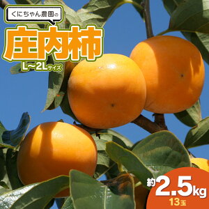 yӂ邳Ɣ[Łzyߘa7NYzɂ_̏`@2.5kgiL`2LTCY 13ʁj@K-722