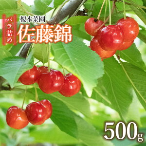 yӂ邳Ɣ[Łzyߘa8NYs\z сiLTCYȏj ol 500g@ R` ߉sY@|{؉@K-835