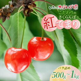 【ふるさと納税】【令和9年産先行予約】こだわりのさくらんぼ「紅てまり」バラ詰め Lサイズ以上 500g〜1kg　いまいのさくらんぼ園 [K-935,K-966]