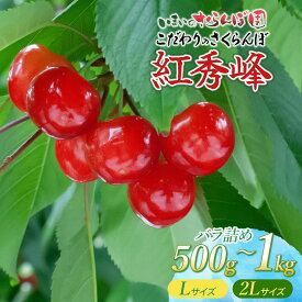 【ふるさと納税】【令和9年産先行予約】こだわりのさくらんぼ「紅秀峰」バラ詰め ［2Lサイズ・Lサイズ］［500g〜1kg］ いまいのさくらんぼ園 [K-935/K-966/K-939/K-969]