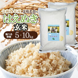 【ふるさと納税】【令和8年産先行予約】富樫農園のはえぬき【玄米】　選べる容量【5kg・10kg（5kg×2袋）】　K-827・K-853