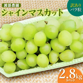 【ふるさと納税】【令和8年産先行予約】 訳あり バラ粒 シャインマスカット 約2.8kg以上(3パック入)　白品種ぶどう