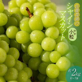 【ふるさと納税】【令和8年産先行予約】シャインマスカット（やや小粒） 約2kg（4〜7房）　白系葡萄　ぶどう　佐藤農園