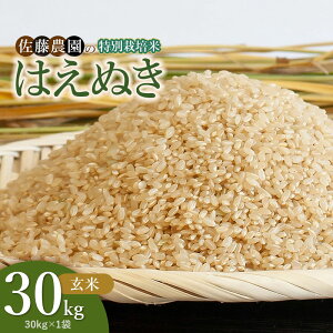 �y�ӂ邳�Ɣ[�Łz�y�ߘa8�N�Y��s�\��z���ʍ͔|�� �͂��ʂ� ���� 30kg�i30kg×1�܁j �R�`���߉��s�Y �����_��